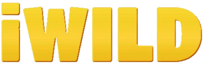 iwild1